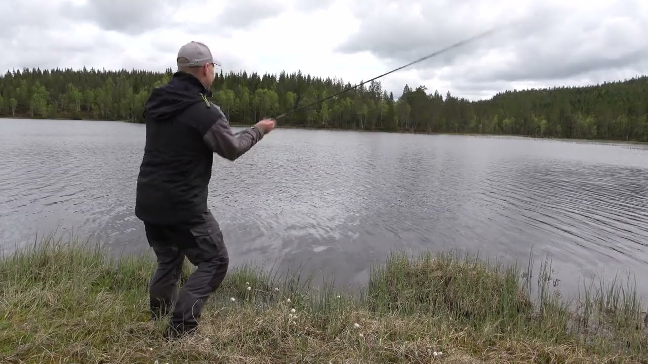 Ørretbitt i rufsevær
