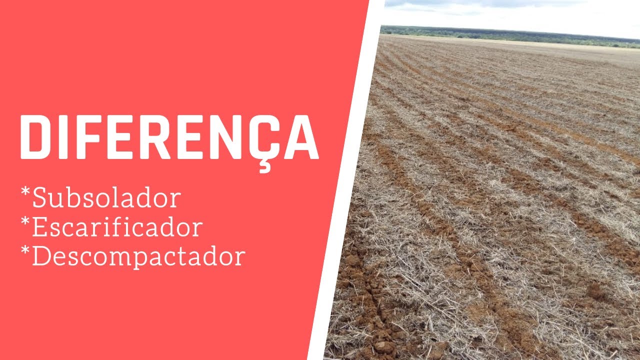 Diferencial entre: Subsolador x Escarificador e Descompactador