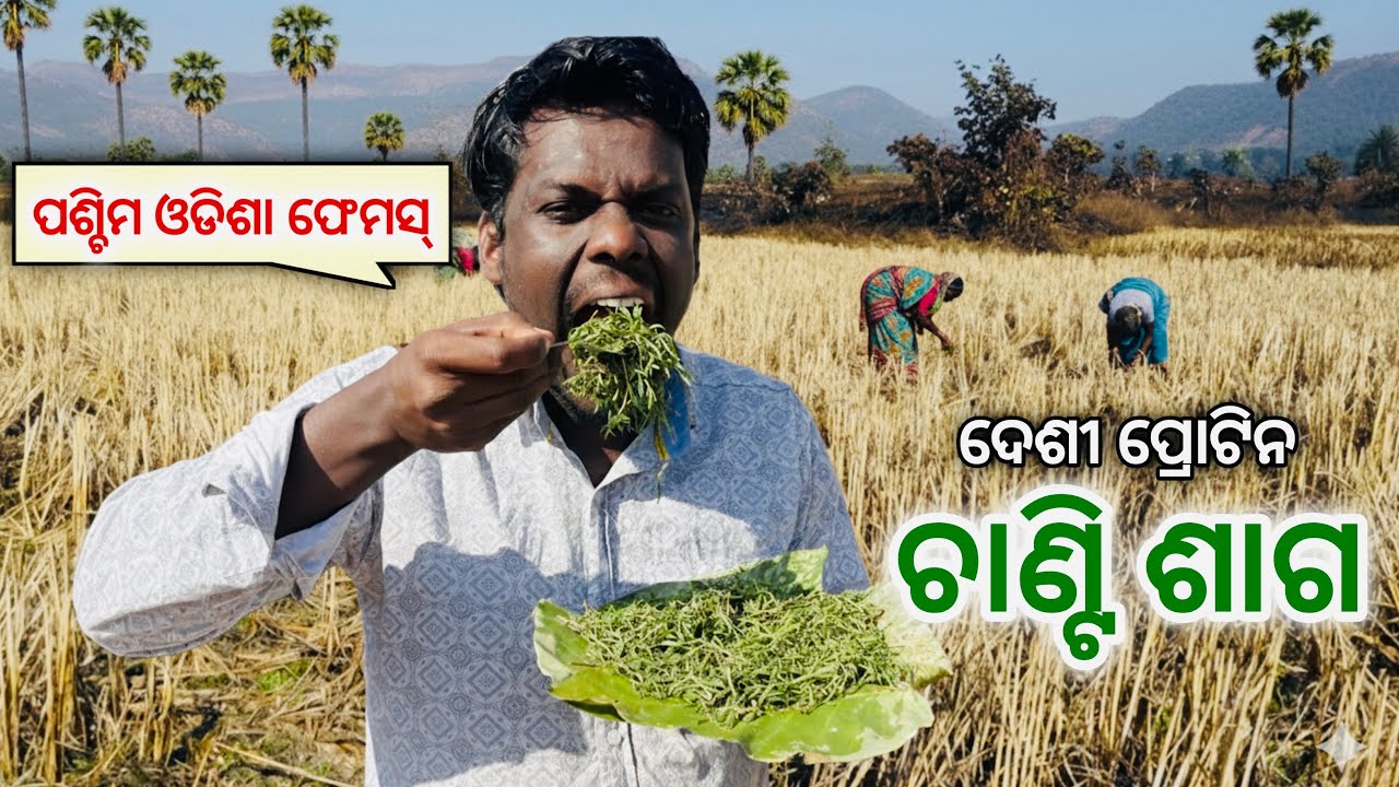 ଦେଶୀ ପାର୍ଟ-6 🥦 ପଶ୍ଚିମ ଓଡିଶା ଫେମସ୍ ଚାଣ୍ଟି ଶାଗ👌Vitamin C, Antioxidant,Fibre,Fe,CH₂O, Ca 🥬 Netra Kishan