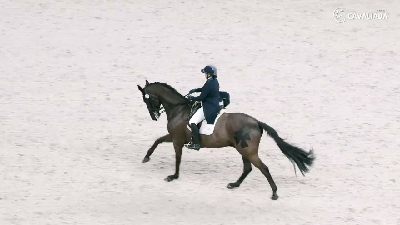Justina Vanagaite-Samuile FEDON Finał Freestyle Apart Cavaliada Sopot 2025