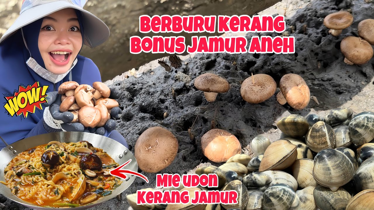 NEMU JAMUR MAHAL PAS BERBURU KERANG‼️Auto Masak Mie Udon