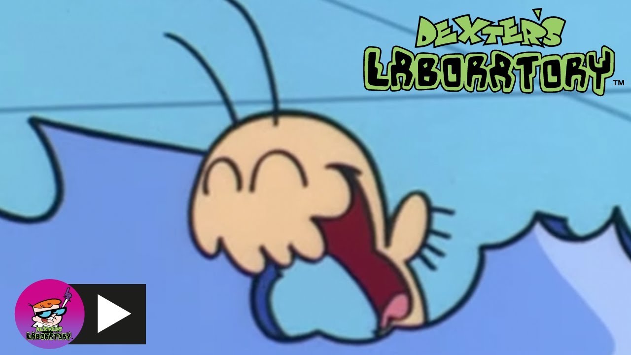 Dexter's Laboratory | A Boy and His Bug | Cartoon Network