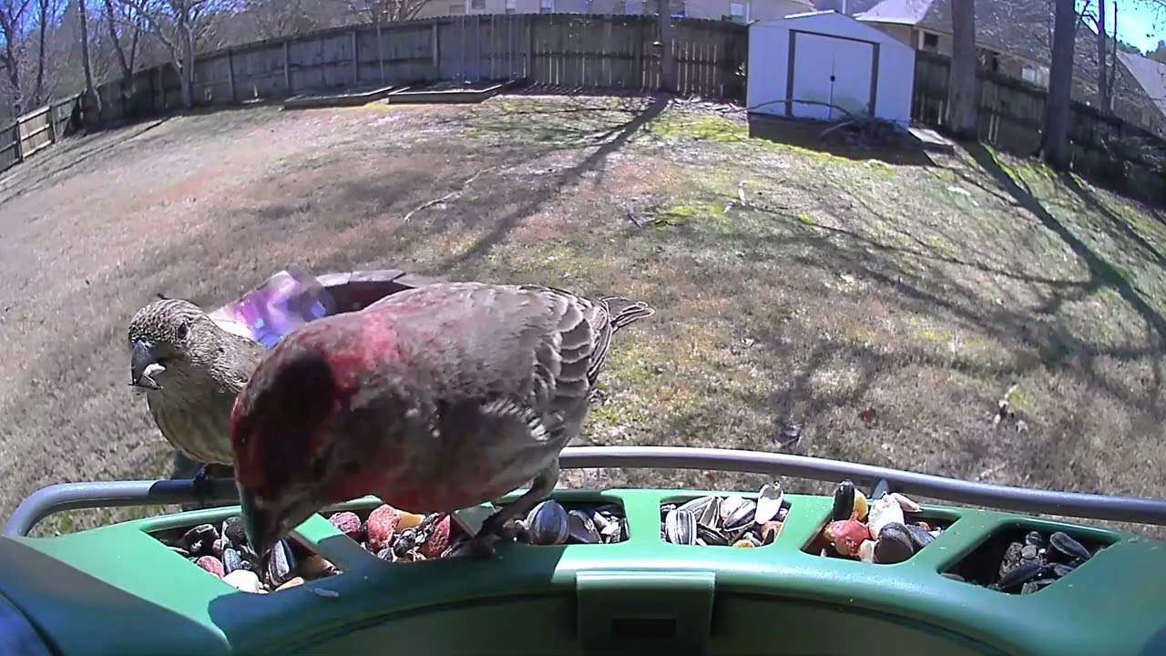 Patio Guest List