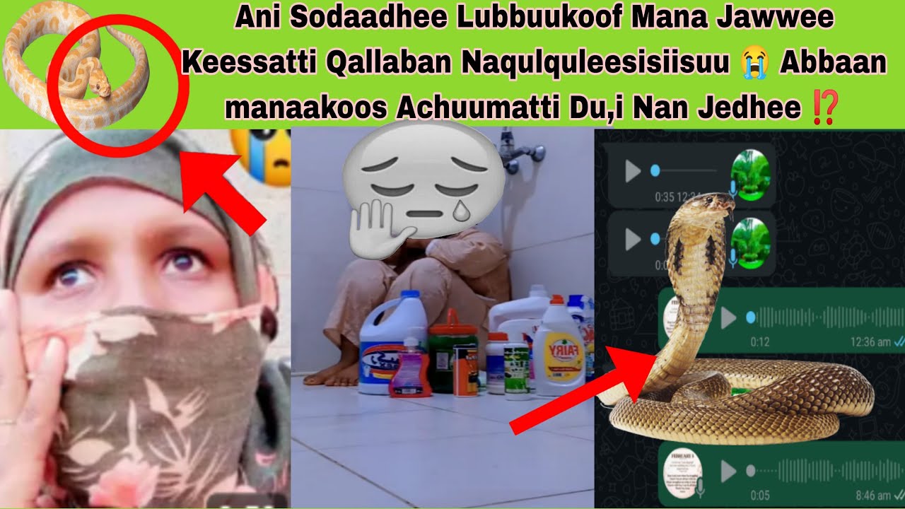 Ani Sodaadhee Lubbuukoof Jedheen Baduuf Yaale Mana Jawween Jiru Keessaa Jirti 😭