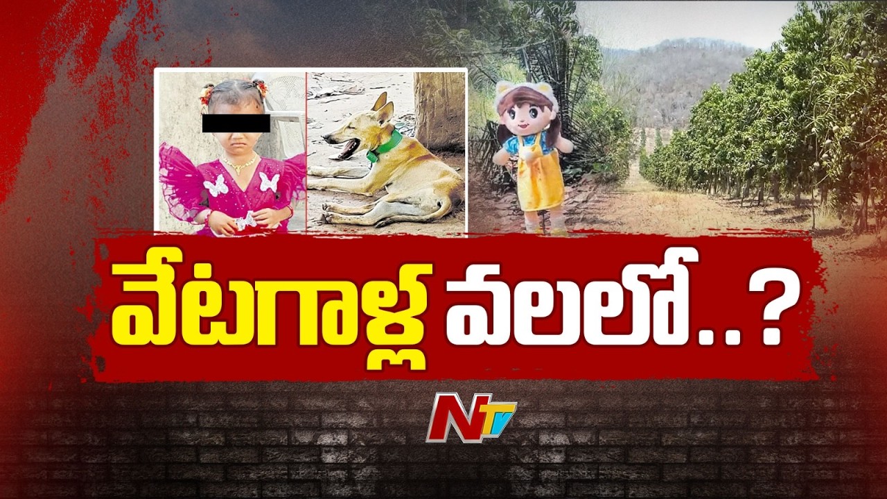 Missing for Two Weeks: Mystery Deepens in Little Gnaneshwari's Disappearance | Kakinada | NTV Telugu