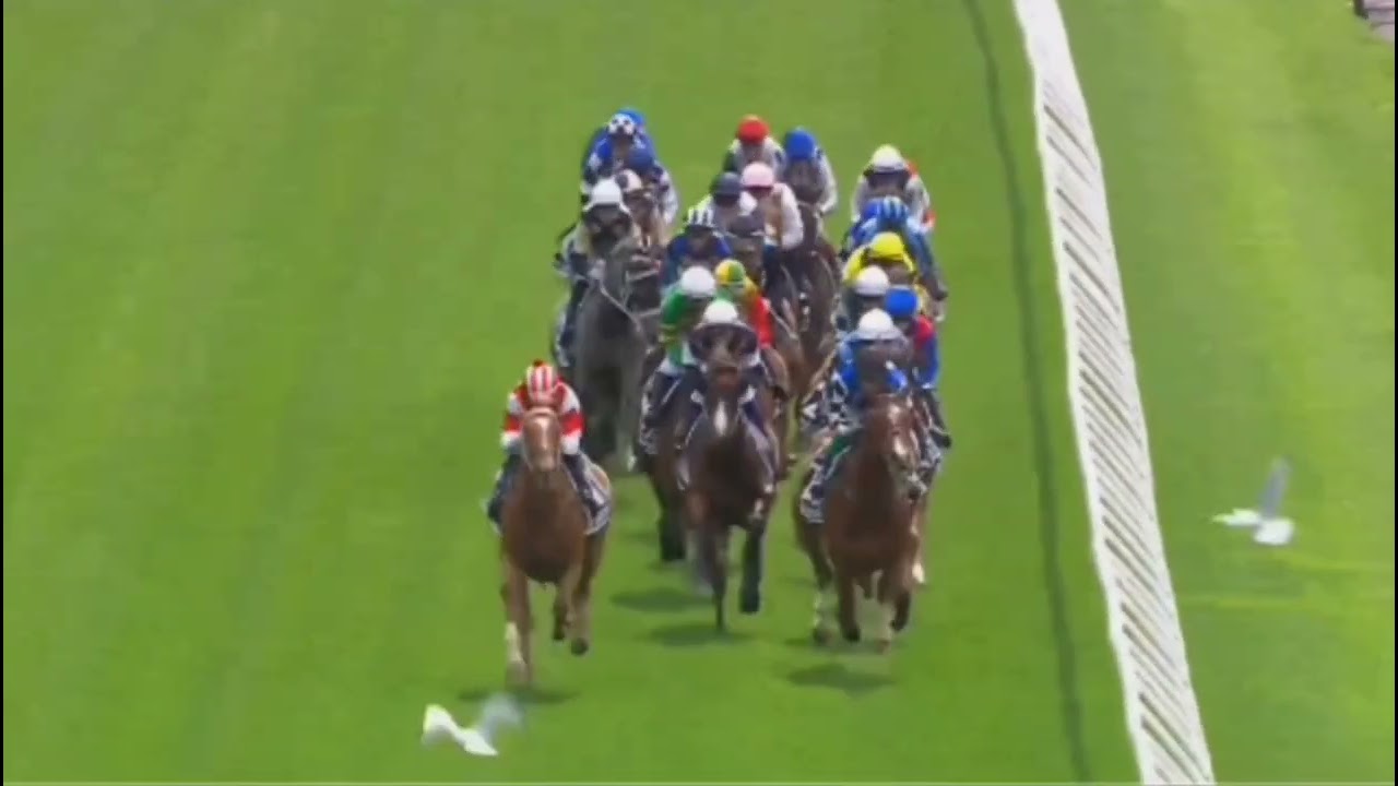 @ 09:30 FLEMINGTON (FLMR07) 2025/11/04 LEXUS MELBOURNE CUP 2025 esy esy won no14(HALF YOURS)8.4🤑💰🤑💰🤑