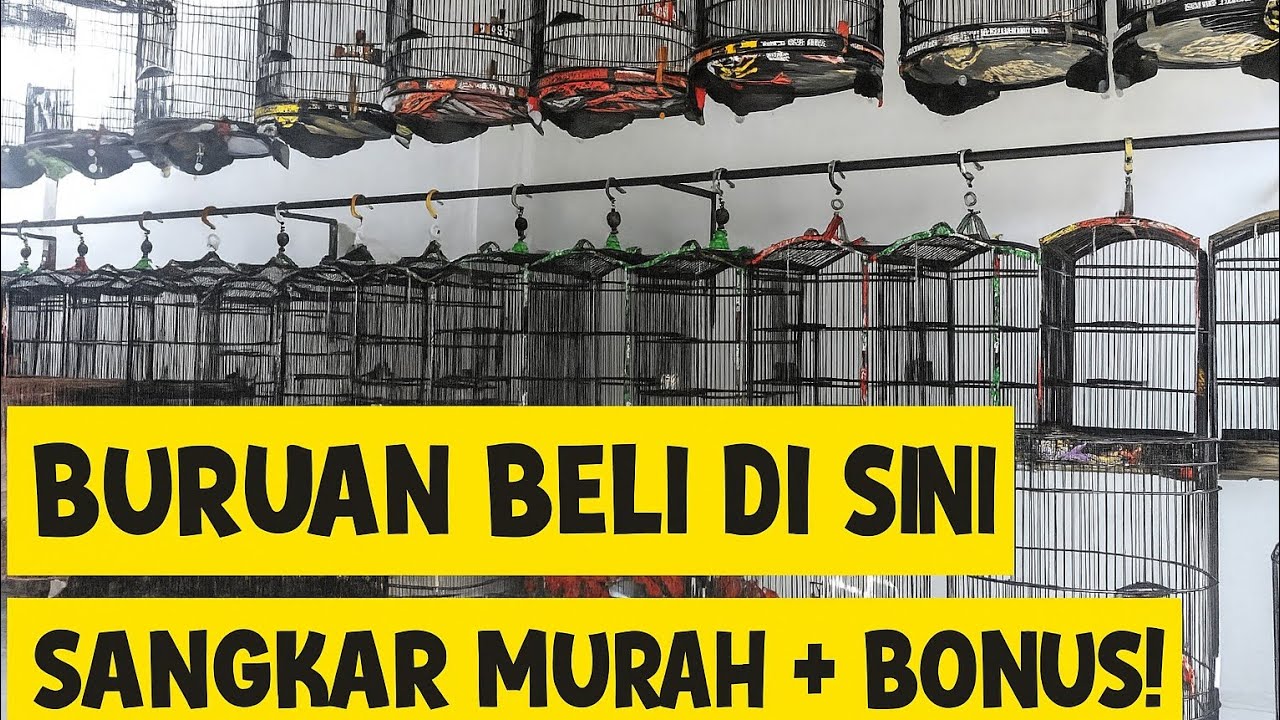 TERBARU 2025! HARGA SANGKAR MURAH DI LUAR PASAR PRAMUKA KIOS RIZKI SANGKAR