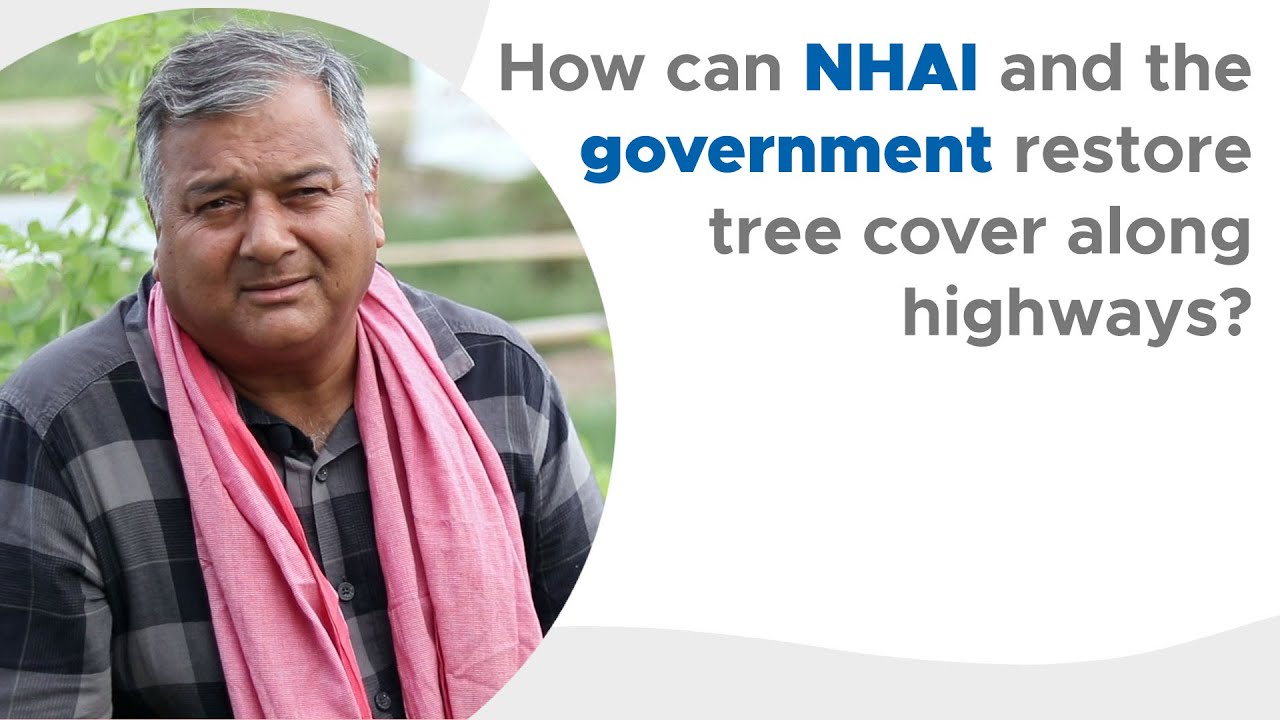 How can NHAI and the government restore tree cover along highways?
