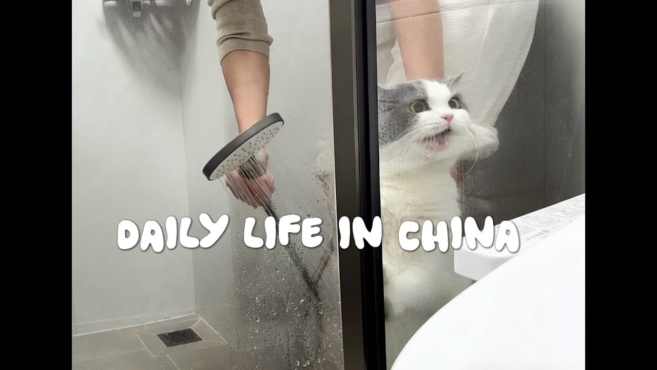 daily life | Giving cats a bath | Knitting a scarf | Cooking breakfast, lunch and dinner