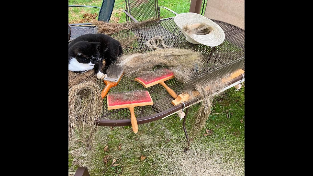 Flax processing with hackle and hand cards