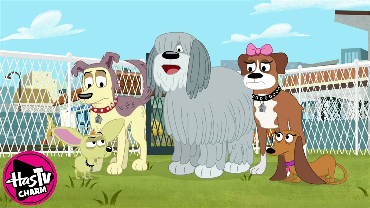 Pound Puppies | Zoltron | Season 1 ✨ HasTV Charm