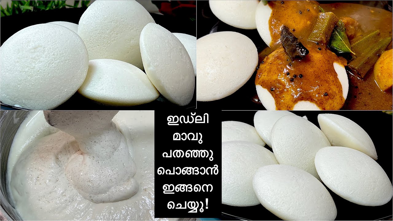 പൂ പോലെ Soft ആയ ഇഡ്ലി ഉണ്ടാക്കാൻ ഇത്പോലെ മാവ് തയ്യാറാക്കിയാൽ മതി | How to Make Soft and Fluffy Idli
