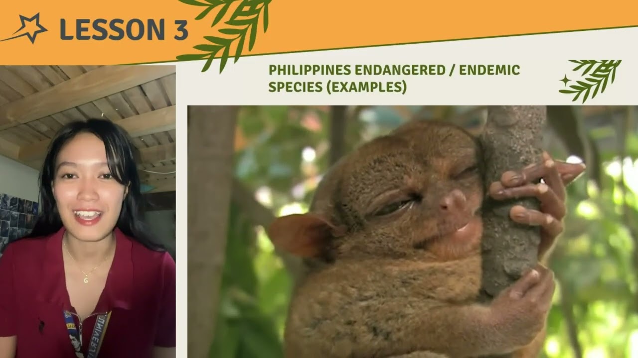 LESSON 3 THE TOURISM IMPACT ON THE ENVIRONMENT