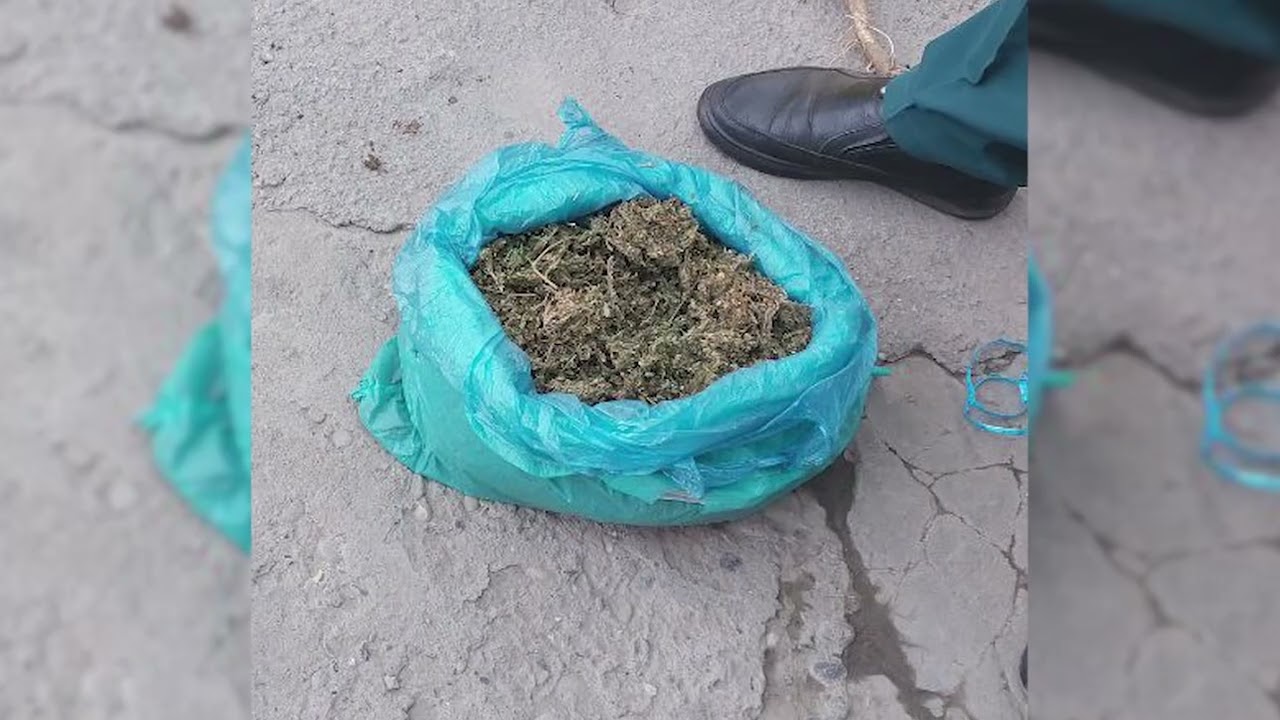 Paxtaobod tumanida  giyohvandlik moddalarini saqlash bilan bog&lsquo;liq holatlar fosh etildi
