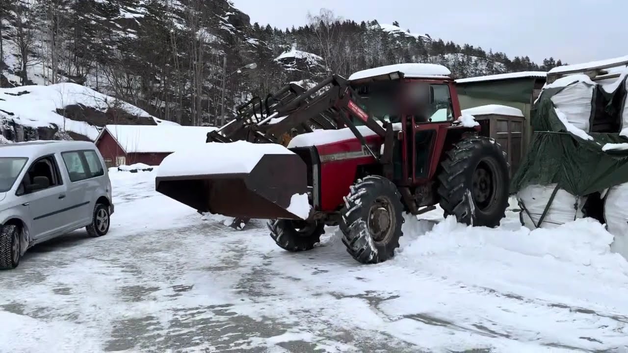 1982 Massey Fergusom 590 m/ frontlaster og snøskuffe