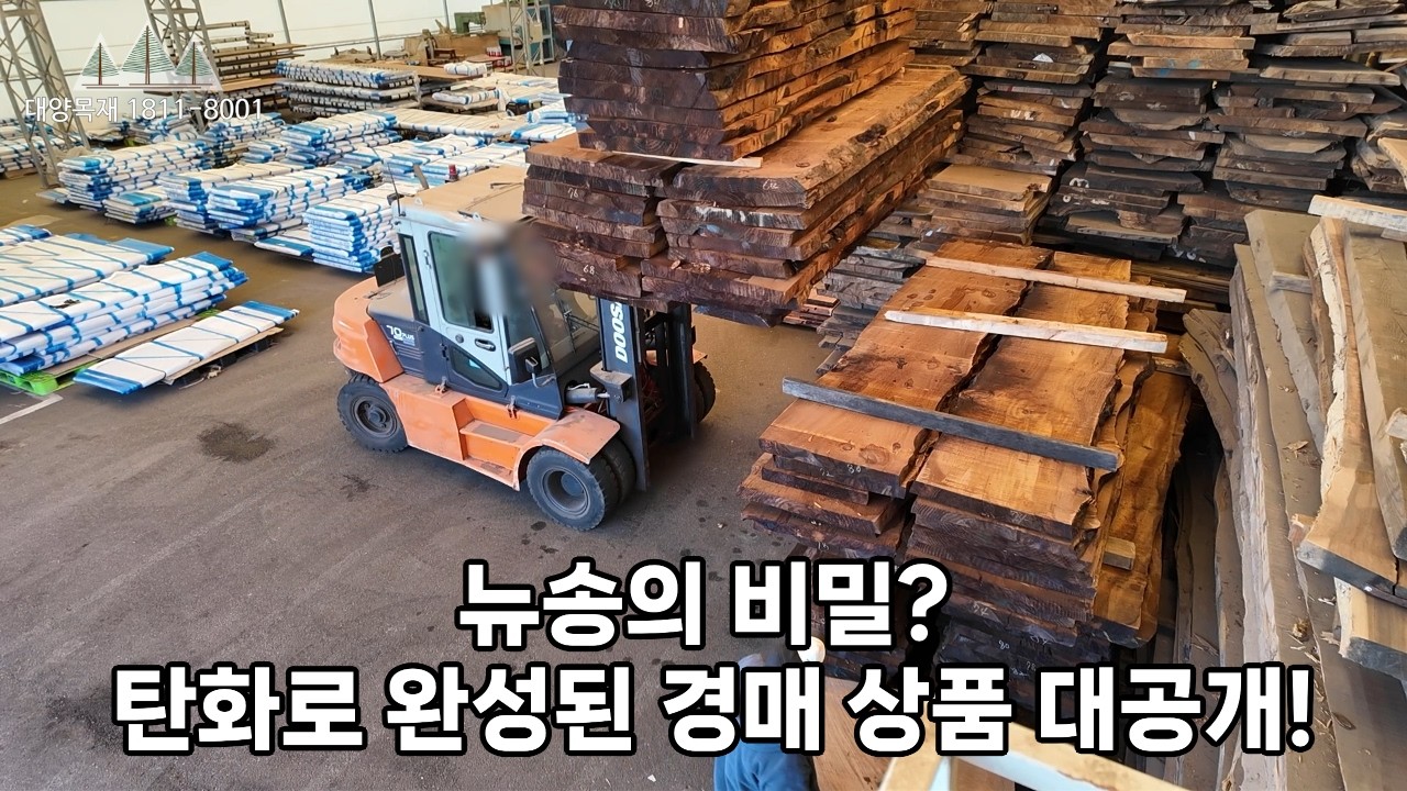 비싼 나무가 좋은 나무? 뉴송 탄화목이 답입니다. 가성비는 최고! #우드슬랩 #원목 #뉴송 #가성비 #뉴질랜드 소나무 #테이블 #느티나무 #대양목재