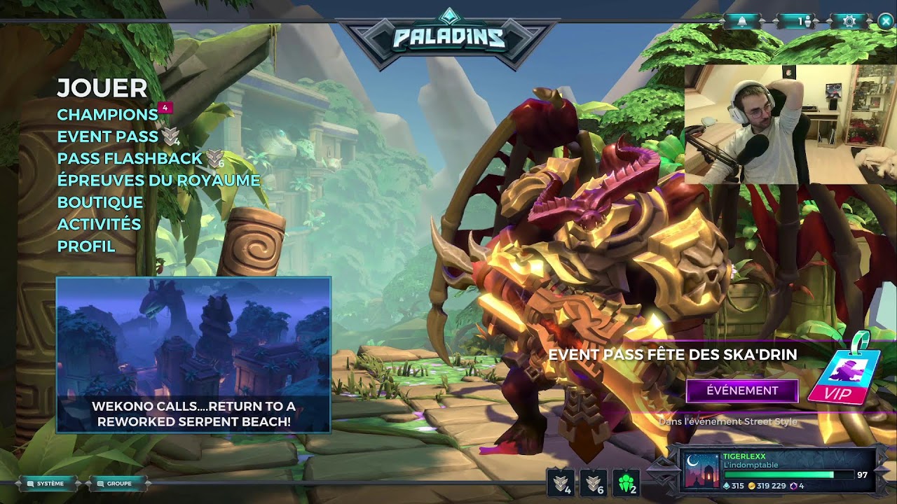 Chill Night Paladins