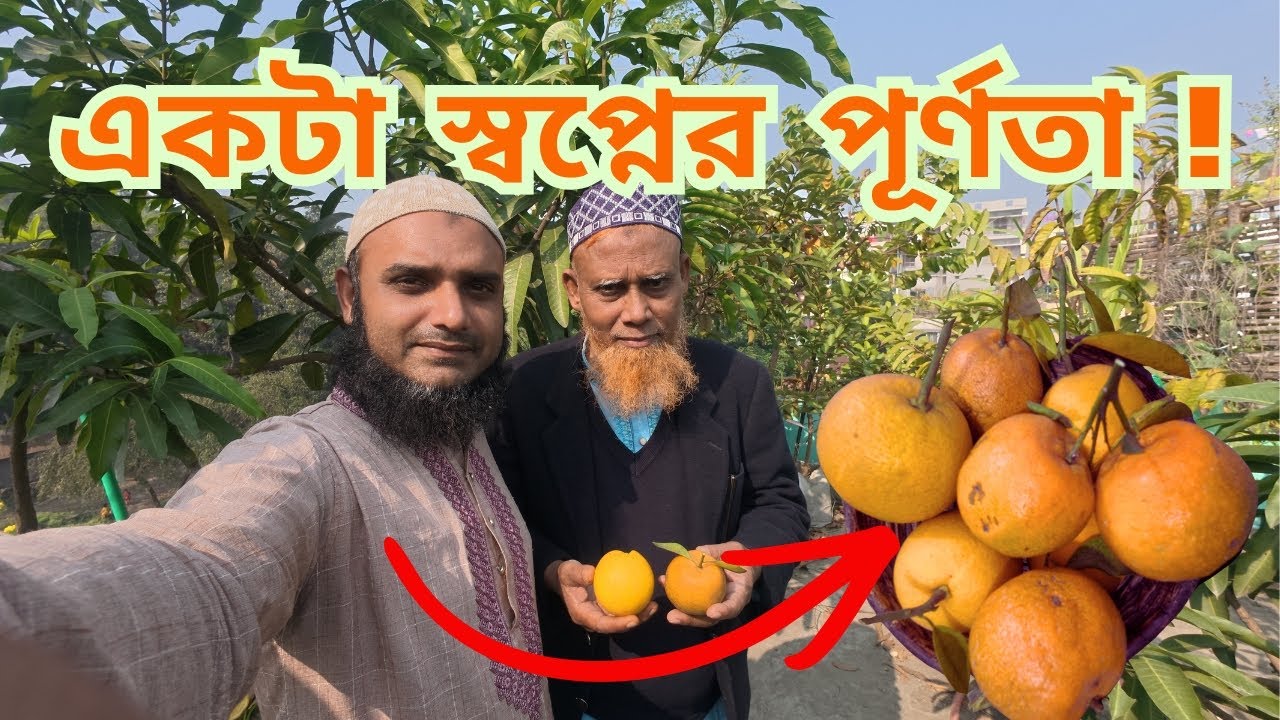 আমি বাগান করে সার্থক বাবাকে নিয়ে ছাদ বাগানের সব ধরনের মালটা কমলা খেয়ে দেখলাম