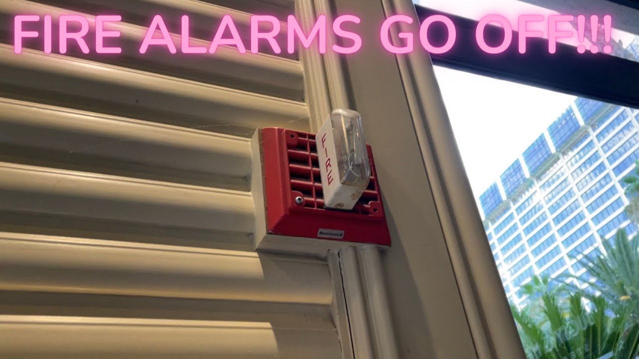 MUST WATCH: FIRE ALARMS RANDOMLY GO OFF AT THE FLAMINGO LAS VEGAS