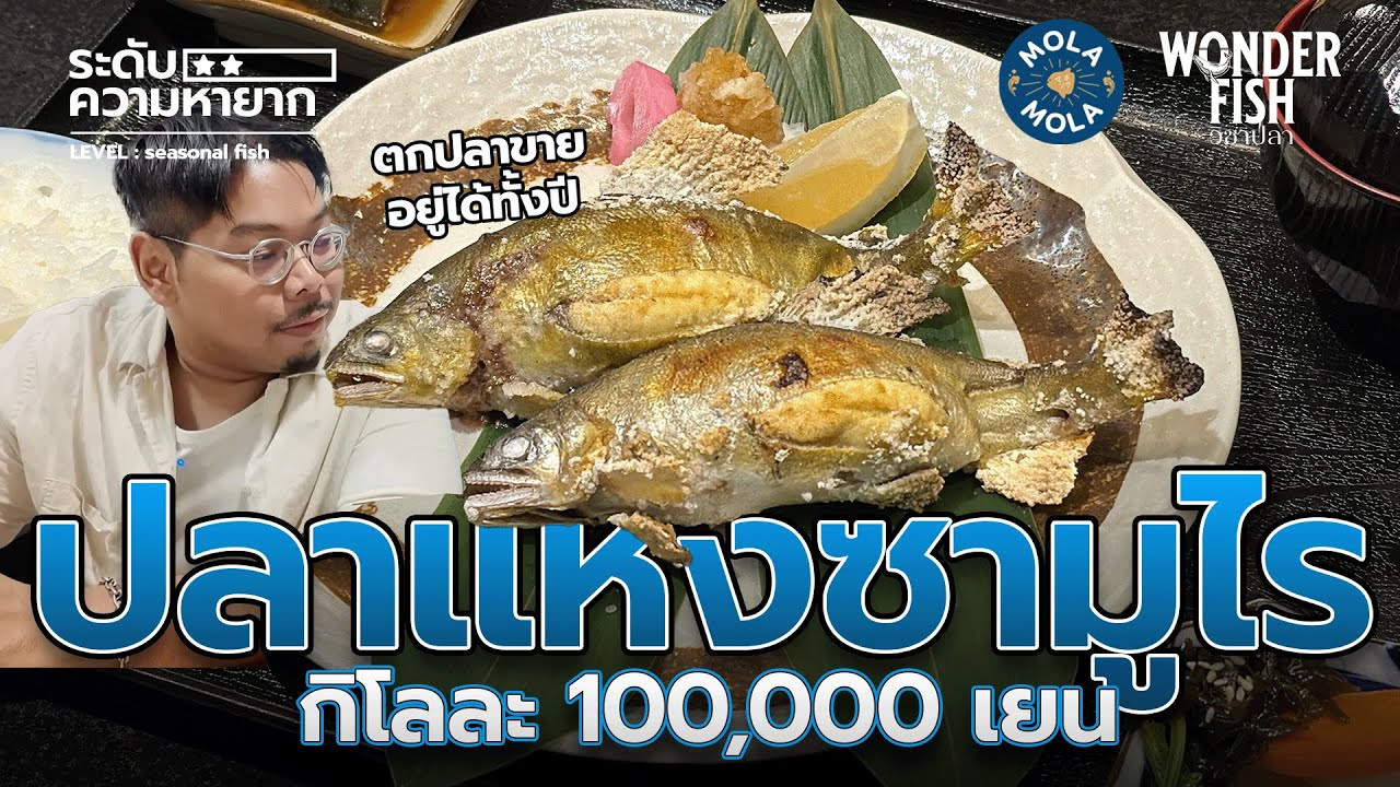 ปลาซามูไร กิโลละ 100,000 เยน