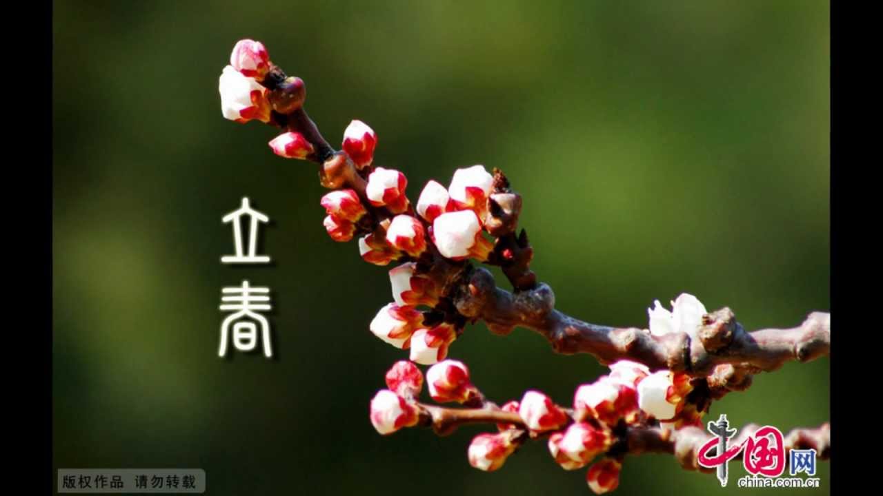 Chinese Music - Guqin - The Moon Mirrored in the Pool 二泉映月 - Performed by Cai Jiyue 蔡积悦