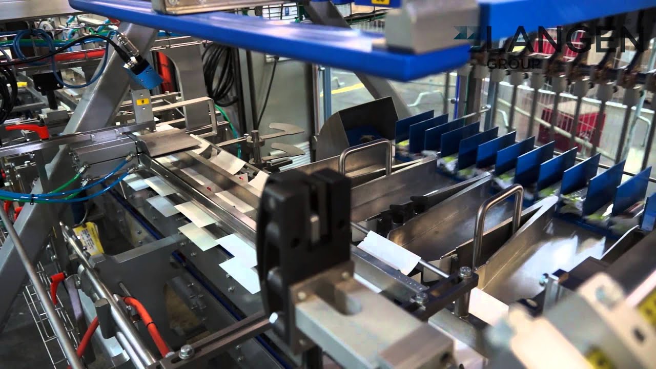 Mpac Langen C-1000Hi Cartoner for Flow Wrapped Product