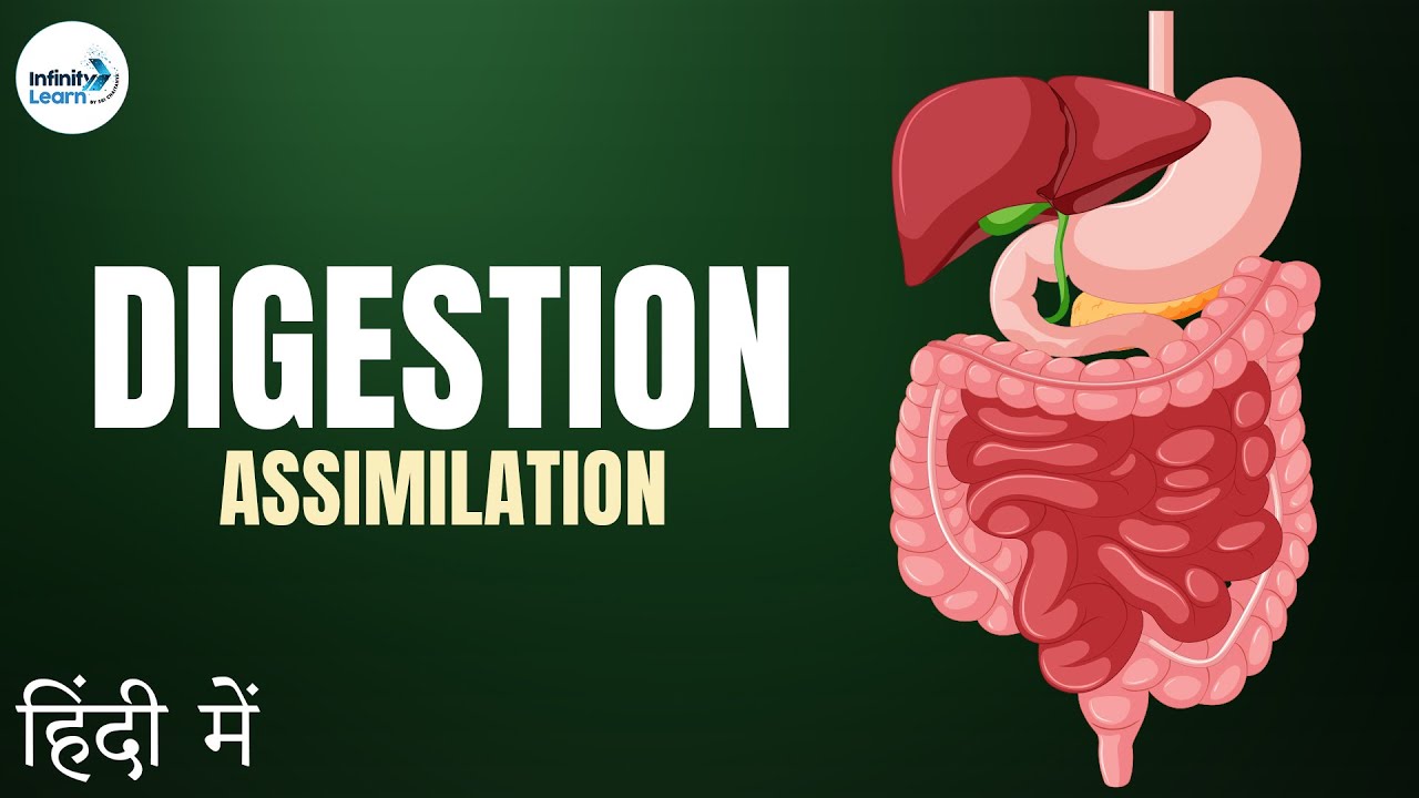Life Processes - Lesson 10 | Assimilation - in Hindi (हिंदी में ) | Don't Memorise