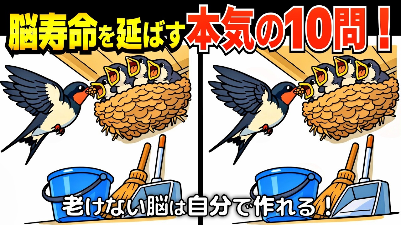 一筋縄ではいかない⁉️ 脳年齢に挑む💪 間違い探しde脳トレ❣️