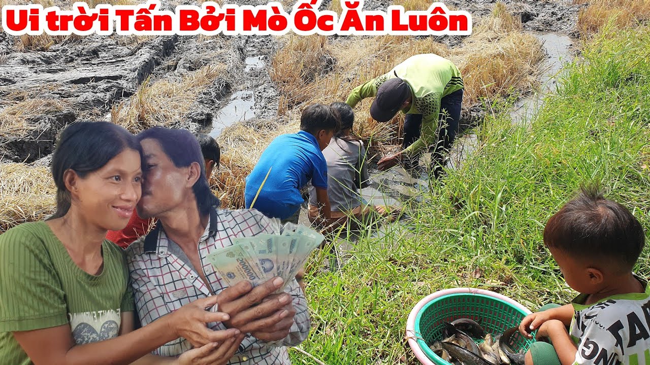 Ui trời Vợ Chồng Tấn Bởi Mò Ốc Ăn Luôn 