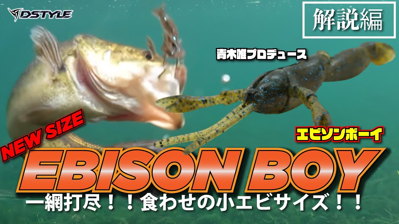 【公式】一網打尽！！喰わせの小エビサイズ！！EBISON BOY(エビソンボーイ）  解説編 / 青木唯