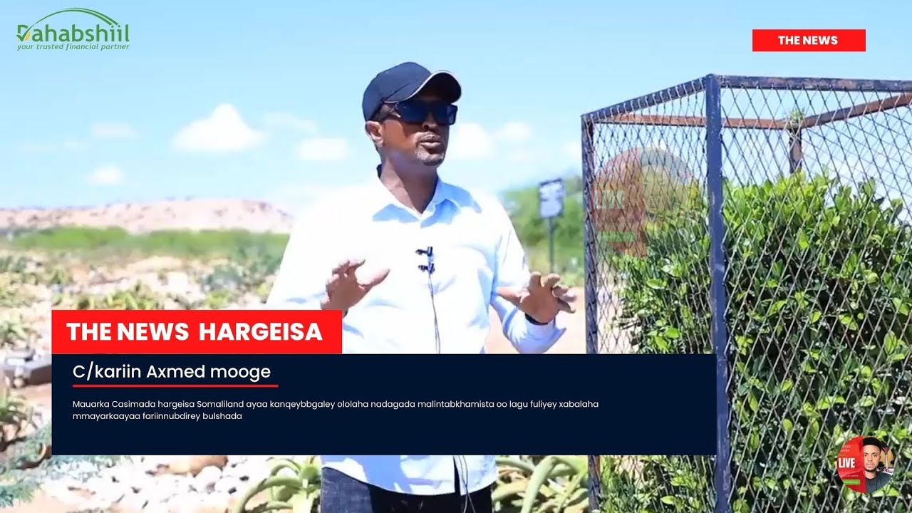 Mayir Abdikariin Moge oo fariin u Direy Dadka Eheladoodu Xabalaha ku jiraan