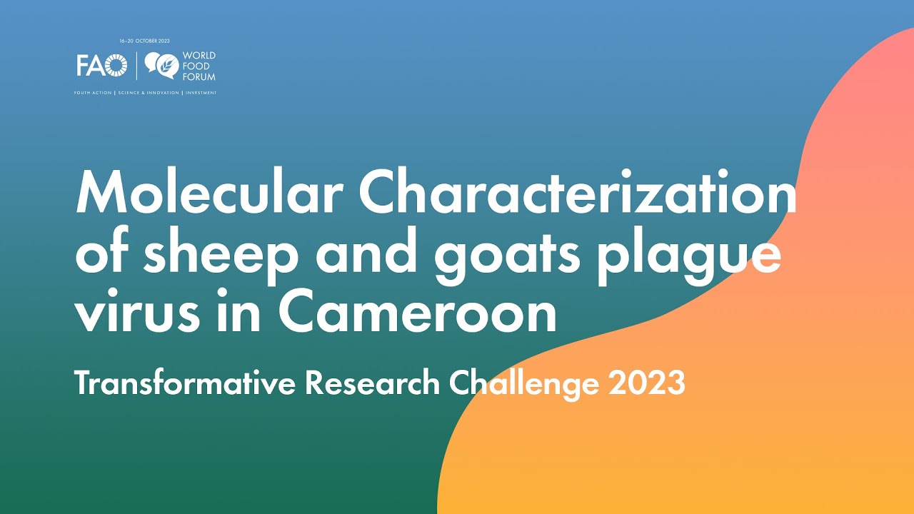 Molecular Characterization of sheep and goats plague virus in Cameroon | TRC 2023
