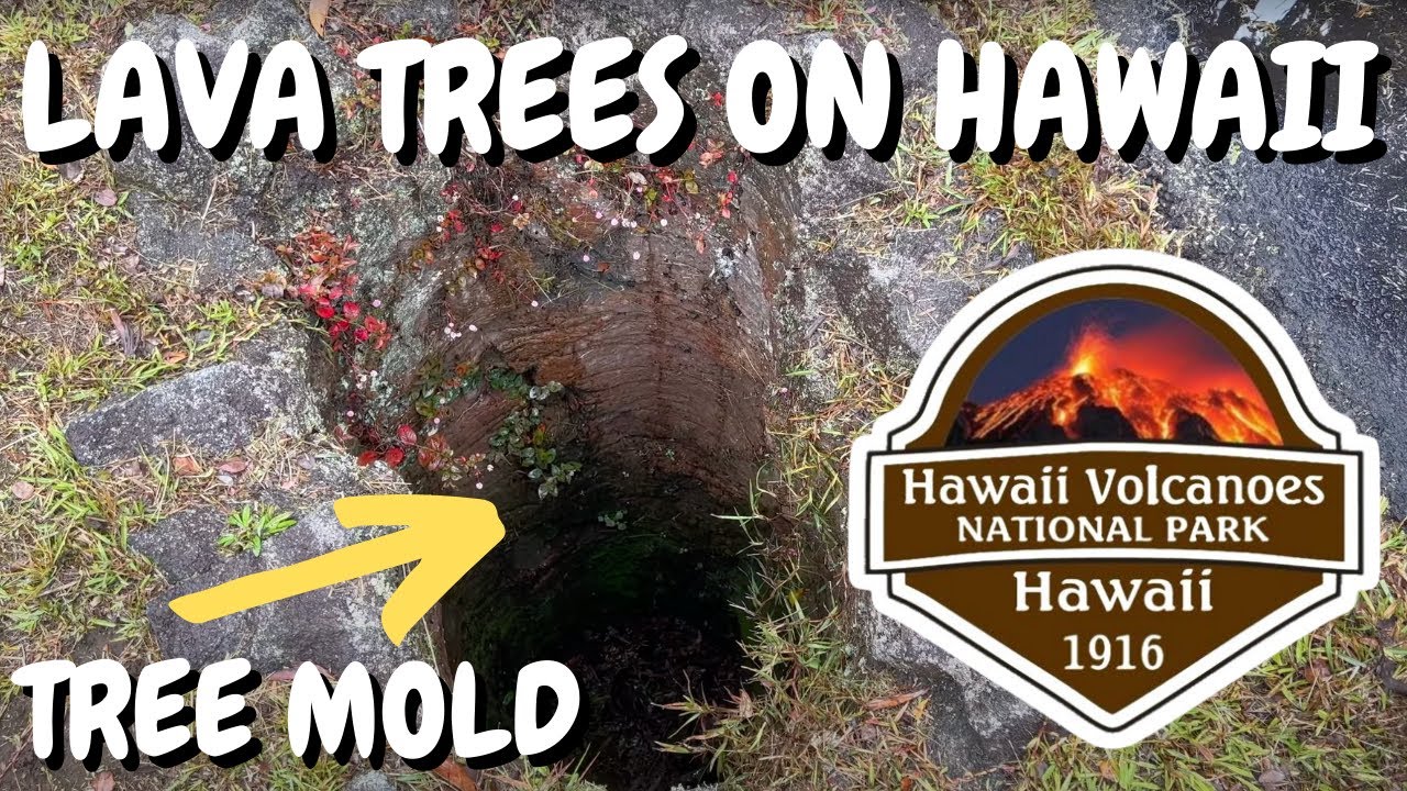 Seeing Lava Tree Molds in Hawaii Volcanoes National Park on the Big Island 2022