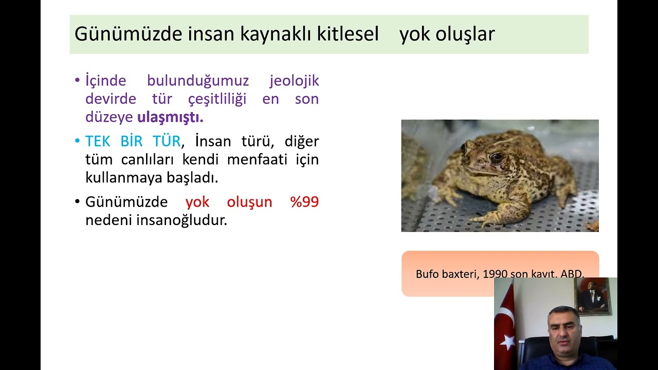 Türkiye'nin Flora ve Faunası_16