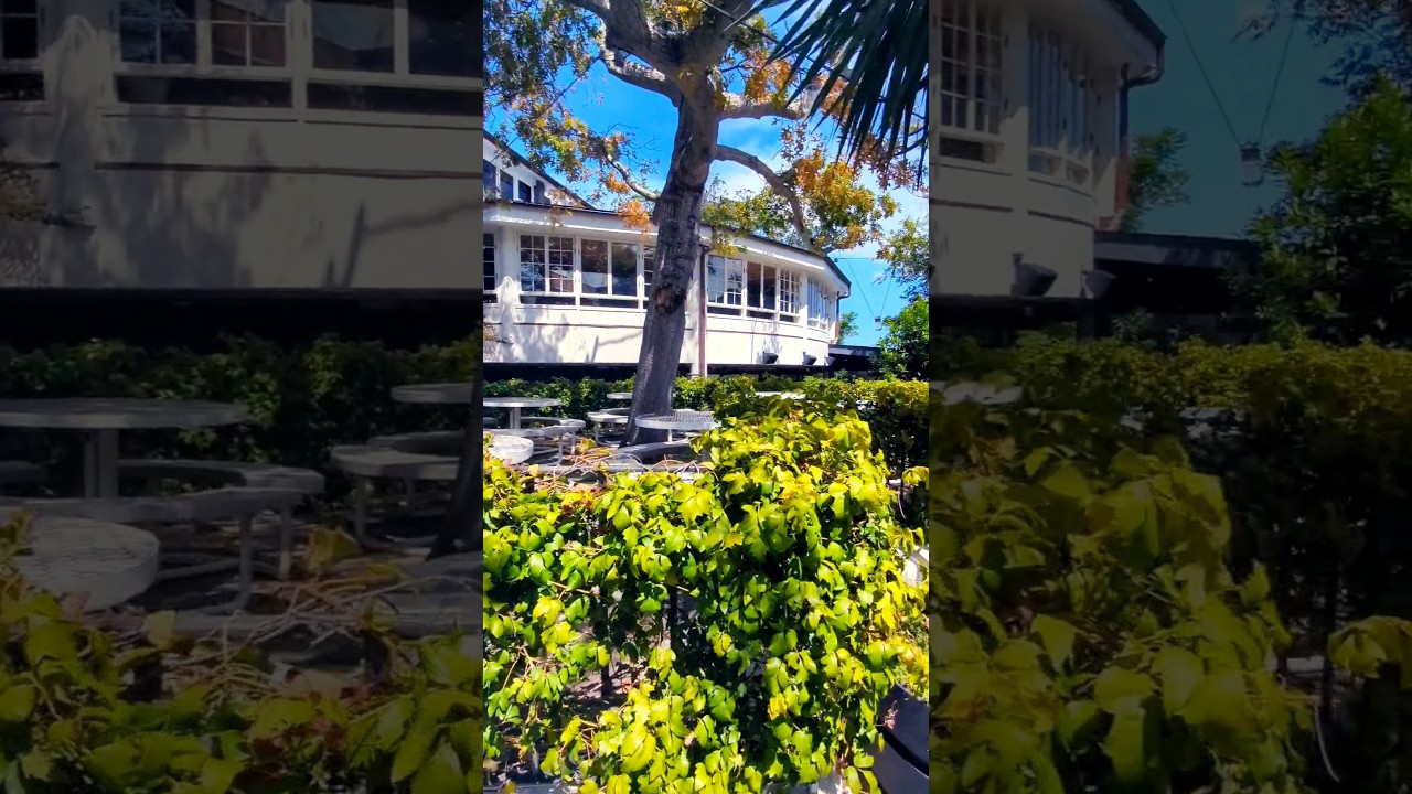 The Newport summer lounge 4/4 #shorts #viral #trending #short #funny #love #youtubeshorts #video