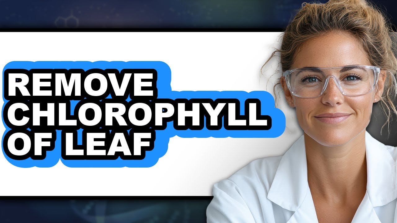 How To Remove Chlorophyll Of Leaf - Step By Step