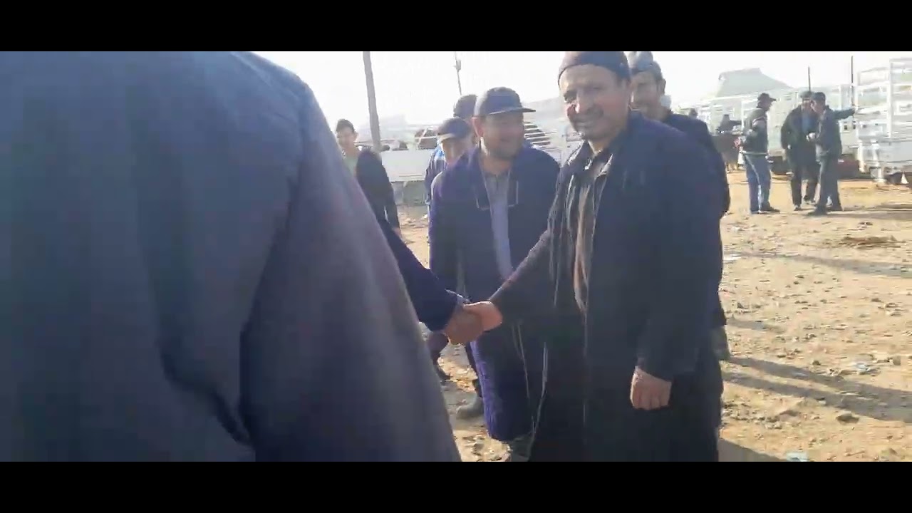 Qashqadaryo Kitob Makrid mol bozori