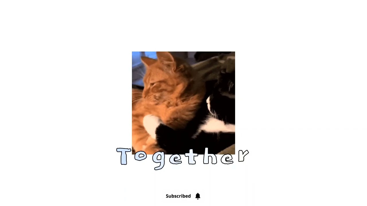 BLue - Together [copyright free] cute asthetic lo-fi background music #lofi #copyrightfree 