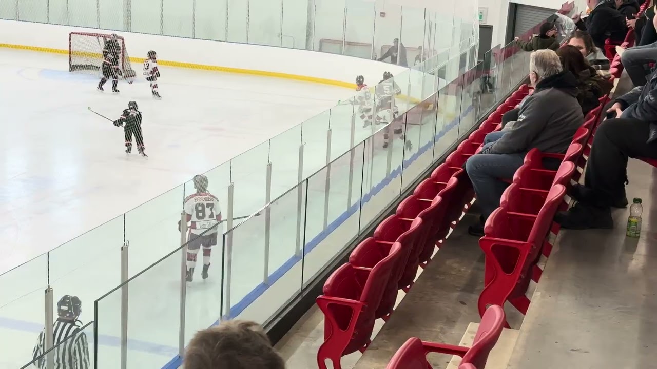 Cambridge Hawks vs Brantford 99ers // U11Bb // Game - March 14, 2026