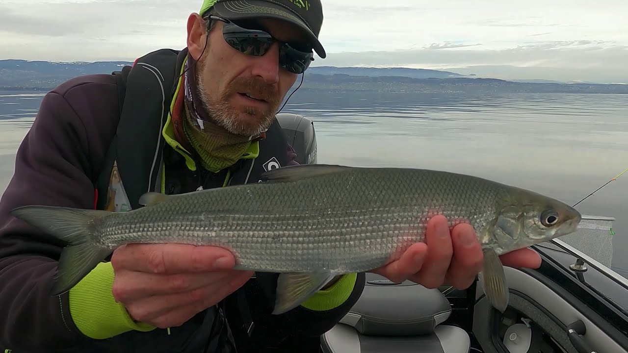 Pêche du corégone avec Ludovic Briet, Moniteur guide de pêche sur le lac Léman