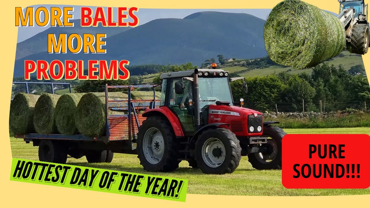 MORE BALES MORE PROBLEMS!!! Second Cut 2022