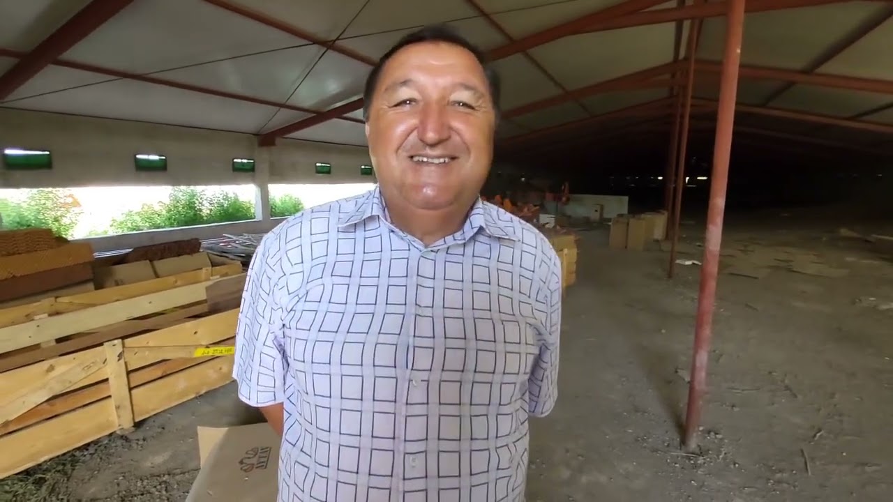 Puiu Ilisei va ajunge la 500.000 pui de carne pe serie