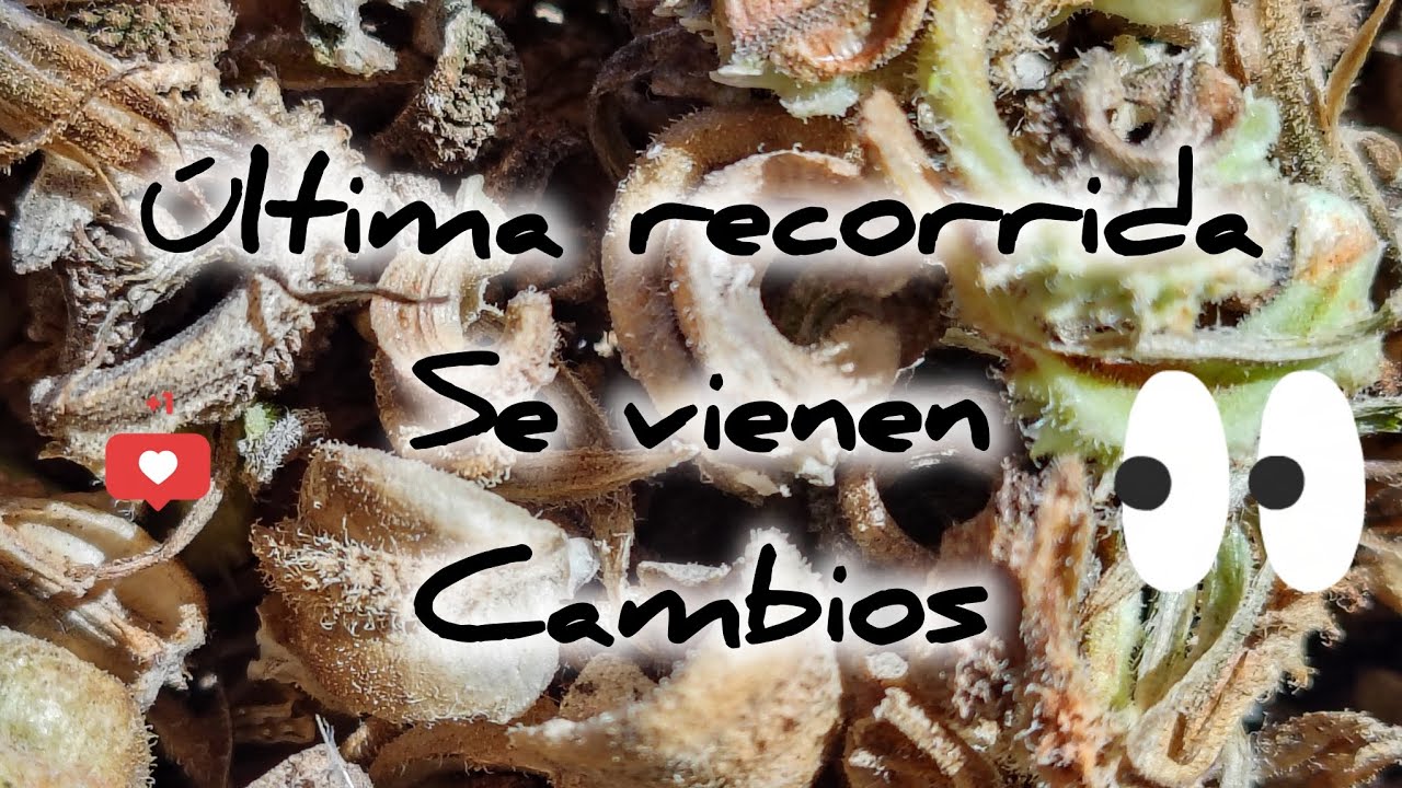 Última recorrida. ¡Se vienen los cambios en la huerta!