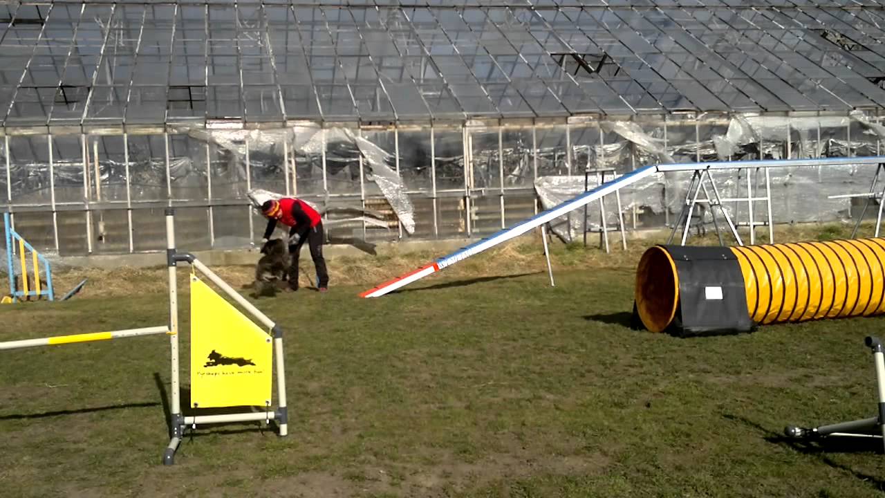 Brego RC and 2o2o