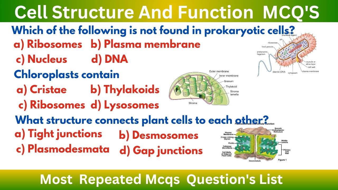 Cell structure and function MCQs ||Cellular biology mcq || Cell biology mcq for competitive exams