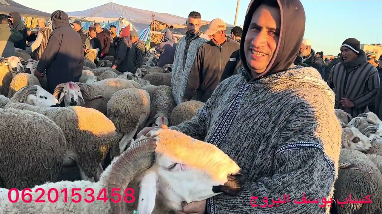 مباشرة من سوق فقيه بن صالح إقليم بني ملال تاريخ تصوير 11/02/2026