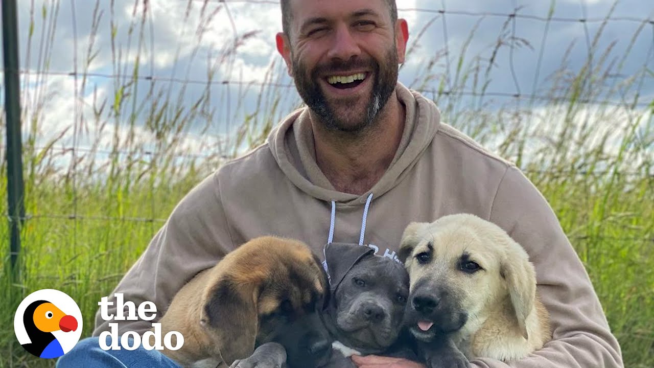 Here&rsquo;s To The Dads &mdash;&nbsp;Happy Father&rsquo;s Day! | The Dodo