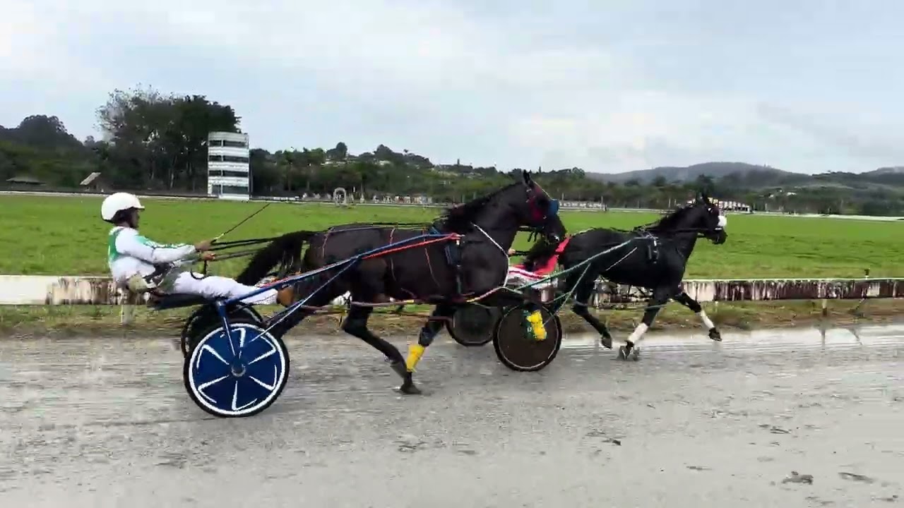 1º liso 2.05,79 2º bf ok new black 2.06,91