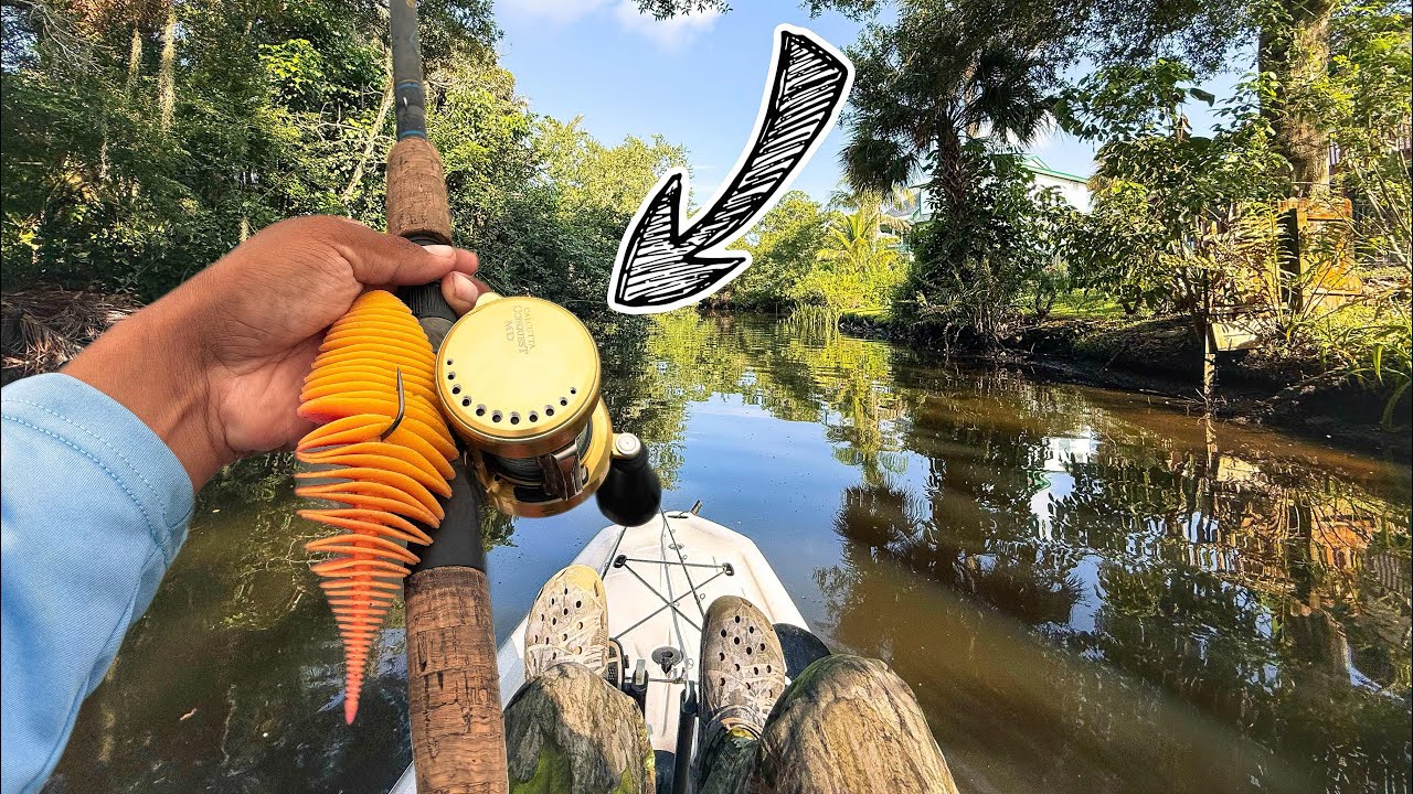 FISHING THE GEECRACK PINK LEMONADE BELLOWS GILL FOR SNOOK AND BASS!