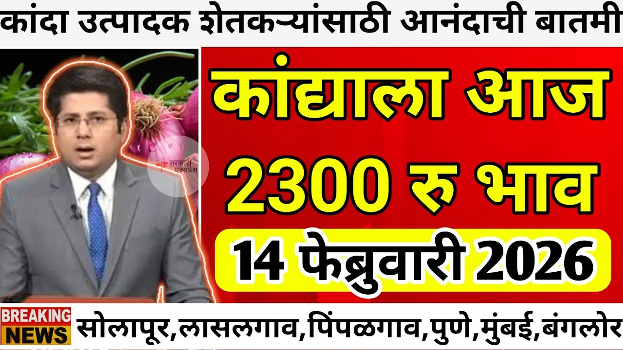 कांद्याला आज सर्वाधिक 2300 रु भाव|kanda bajar bhav today|कांदा बाजार भाव आजचे|kanda bhav today